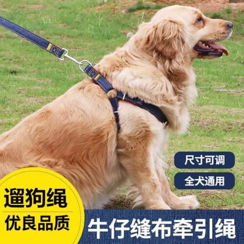 Dog Denim Leash 1.2m Length Adjustable Pets Leash 2.5cm Wide Dog Collar Accessories Dog Harness and Leash Set