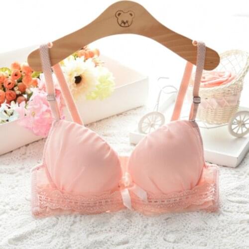 Brand Women Bras Push Up Sexy Underwear Gather Lace Women Underwear Sexy Push Up Bra Women Bras Casual Underwear Gather Bras