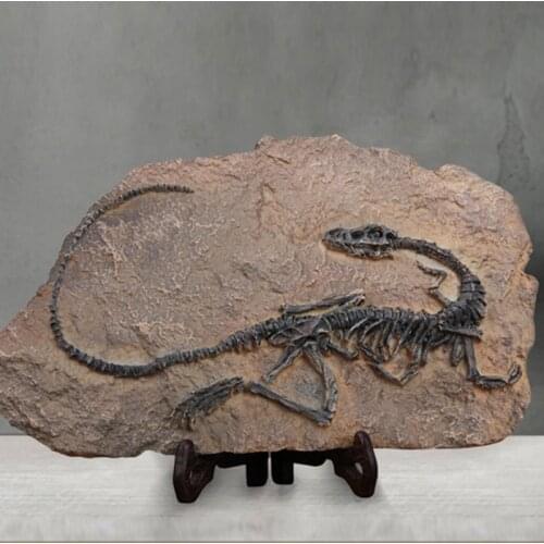 Resin simulation dinosaur brontosaurus fossil creative hand made home decor Jurassic Park Private museum crafts