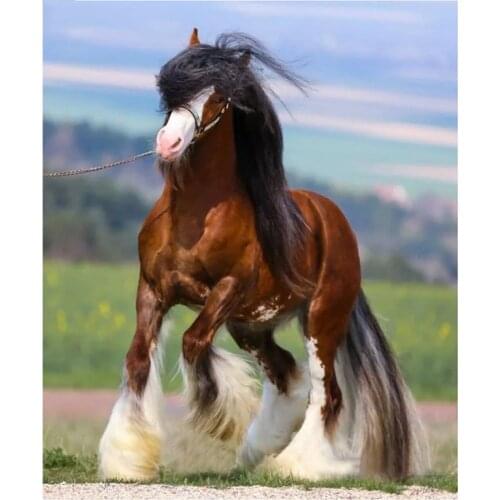 Bead Embroidery 5D Diy Diamond Painting Clydesdale Draft Horse Diamond Painting Cross Stitch Needlework Home DecorationZP-2377