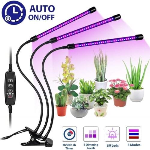 CAIYUE Plant Lamps