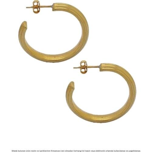 Solid Gold Ring Silver Earrings