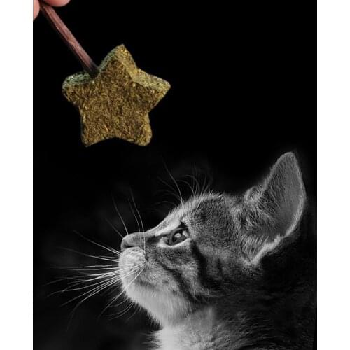 1pc Catnip Stick Cat Interactive Toy Lollipop Silvervine Ball Five-Pointed Star Flower Ball Toy Kitten Teething Toy Cat Chew Toy