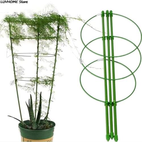 Durable Creative Vine Climbing Rack Flower Decorative Gardening Tools Vegetables Plant Trellis Plant Support Frame 60cm
