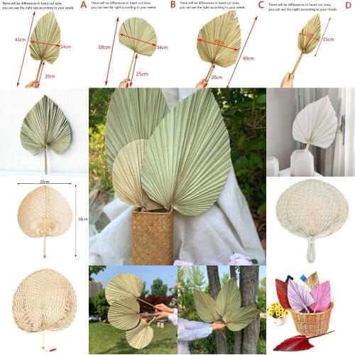 Party Art Wall Hanging Decoration Wedding Arch Arrangement Palm Fan Leaf Dried Flower Palm Leaf Window Reception