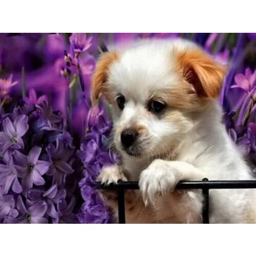 Diamond Painting Dog Full Square Drill 5D DIY Diamond Embroidery Animals Mosaic Sale Rhinestone Art Home Decor