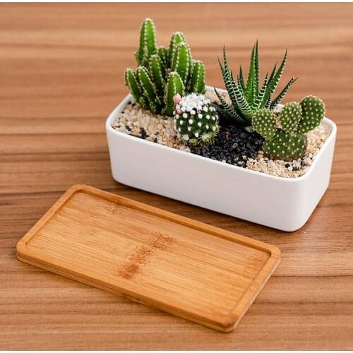 Succulent Planter Flowerpots Garden Indoor Tray Container Decor Desk Bamboo Home Bonsai Outdoor Ceramic Pot (not contain plants