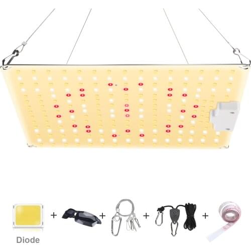 600W LED Grow Light Full Spectrum LED Plant Growth Light With Diode Silent Quantum For Greenhouse Hydroponic Flowers Grow Lamp