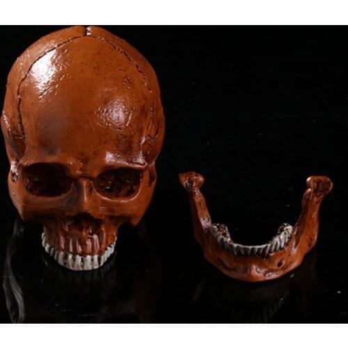 Halloween toys simulation human skull terrorist resin skulls ghost cranium Skull Heads Crossbones Skull