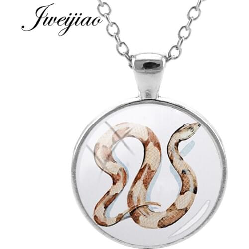 JWEIJIAO Handmade Collier Pet Snake Charm Necklace Glass Cabochon Photo Pendant Sweater Chain Party Christmas Jewelry Gift QF535