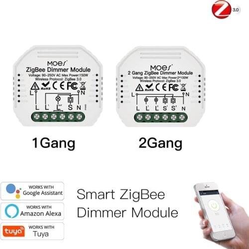 Zigbee smart dimming switch hidden DIY dimming module Tuya APP Alexa Google Home voice control