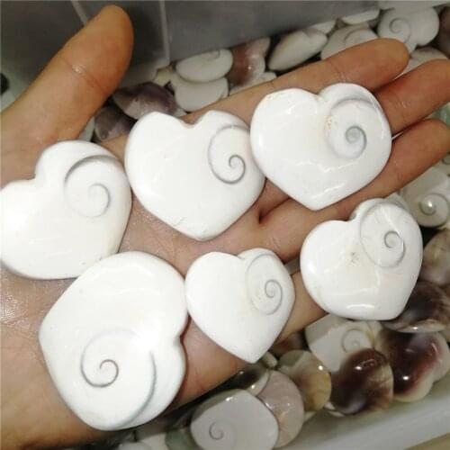 Natural shell fossil crystal craft conch heart specimen healing