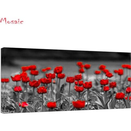 Diamond painting "Red Poppy Abstract Flowers Wall Art Painting Canvas Black and White Red Poppy Flowers Scenery Landscape "