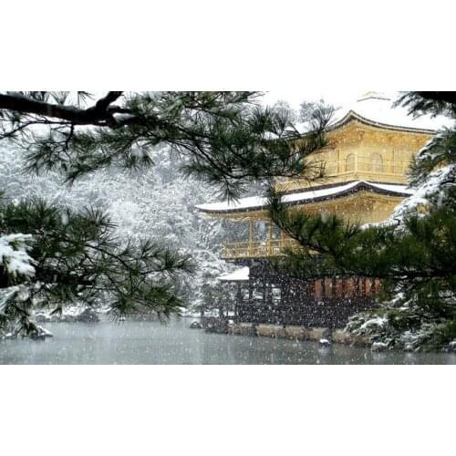 Snowing style Embroidery Counted Cross Stitch Kits Needlework - Crafts 14 ct DMC Color DIY Arts Handmade A43334