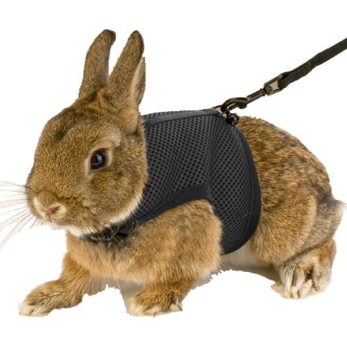 JANPET Animal Care Items