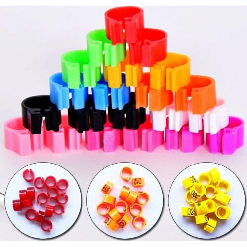 100 Pcs 8mm Bird Pigeon Foot Ring Identification Ring Laser Lettering Never Fade Freedom Of Action Poultry Ring Bird Carry