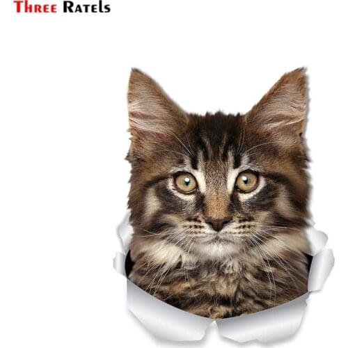 Three Ratels FTC-1045 3D Maine Coon Kitty Cat Wall Decals Toilet Sticker Car Window And Bumper