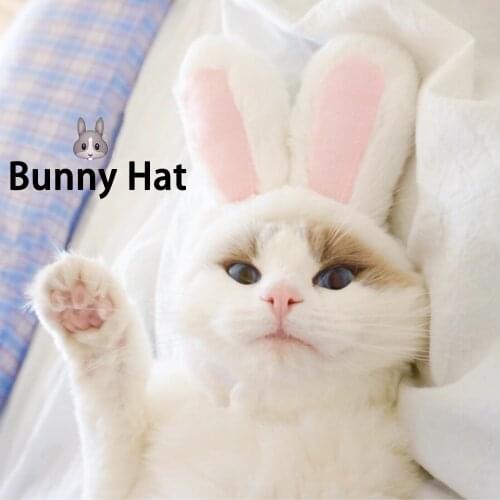 Cat Hat Bunny Rabbit Ears Headwear Kitty Cosplay Clothes Warm Costumes Dogs Kitten Party Costume Cute Adjustable Cat Accesorios