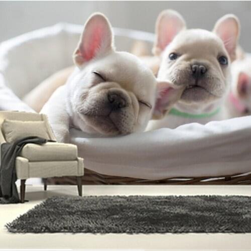 Custom 3D large mural,Three cute puppies in the basket papel de parede ,living room sofa TV wall bedroom wall paper