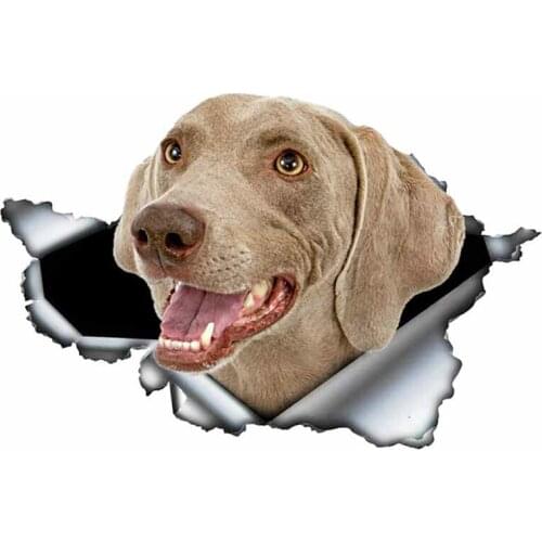 S50076# 13/15/17CM Personality PVC Decal Weimaraner V2 Waterproof Car Sticker on Motorcycle Laptop Decorative Accessories