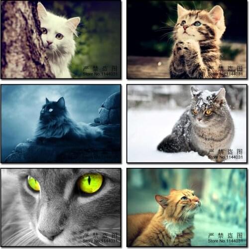 Animal 5D DIY Diamond Mosaic Full Square Diamond Painting Cross Stitch Handmade Embroidery Crafts Cat Home Decor