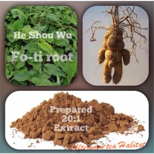 100% Pure & Organic HE SHOU WU (Fo-Ti) 20: 1 extract powder