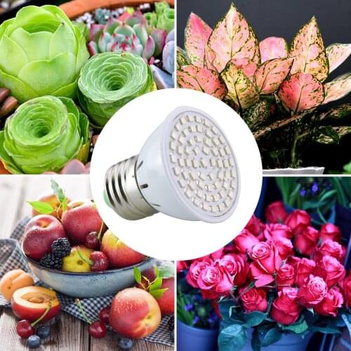 Erenigh LED Plant Lamps