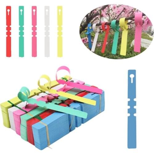 100 Pcs Plant Labels Waterproof Long Strip Tags Botanical Garden Green Plants Labels Nursery Tags Flowers Differentiated Classif