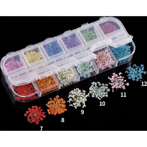 24Pcs Real Pressed Flower Annes Lace Dried Flower Nail Art Resin Jewelry Making
