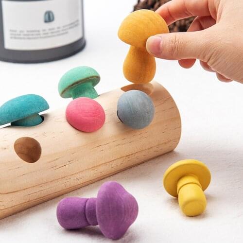 Wooden Rainbow Blocks Mushroom Picking Game Montessori Educational Wooden Baby Toys Developmental Shape Matching Assembly Grasp