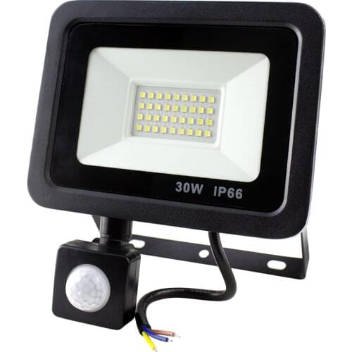 Waterproof LED Flood Light Outdoor Lighting AC220V 10W 20W 30W 50W PIR Motion Sensor Wall Lamp SMD 2835 Street Lights Cold White