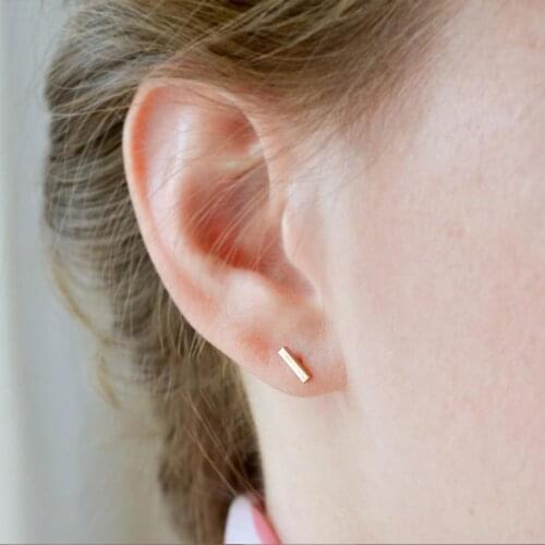 Laramoi Women Earrings Gift Party Wedding Long Strip Stainless Steel Gold Silver Plated Geometric Mini Earrings Jewelry