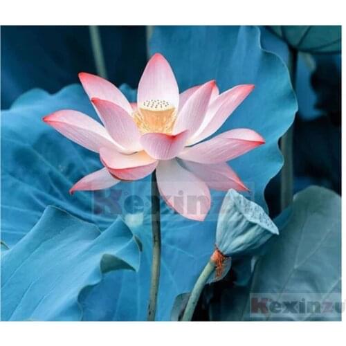 Kexinzu Full 5D DIY Square/Round Drill Diamond Painting "Flower" 3d Diamond Embroidery Cross Stitch Decor Gift K519