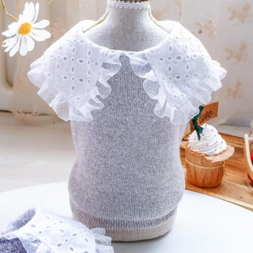 Autumn Dog Sweater Lace Collar Non-shrink Thickening Puppy Two-legged Knitwear Autumn Dog Dresses XL