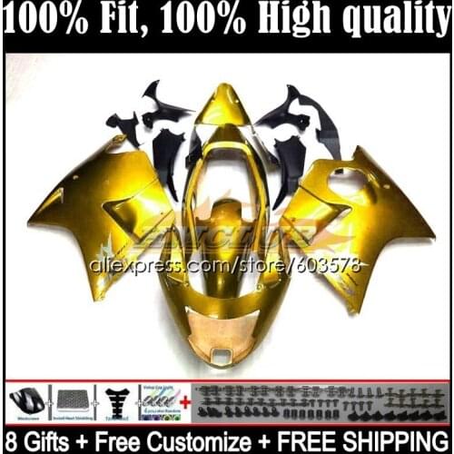 Blackbird For HONDA CBR1100XX 02 03 04 05 06 07 29CL.125 CBR1100 CBR 1100 XX 1996 1997 1998 1999 2000 2001 Fairings Light golden