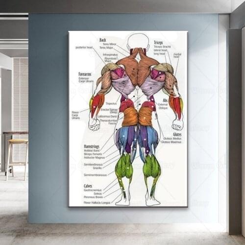 Living Room Useful Muscles Does Bench Press Work Printed Canvas Painting Canvas Art Poster Top Fabric Print Home Wall Decor