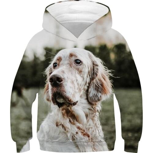 Spring Autumn 4-13Y Kids Animal English Setter Dog Pullover Clothes Boys Girls Hooded Sweatshirts Children Casual Hoodie Costume
