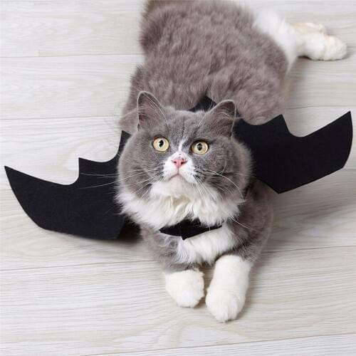 Pet Dog Cat Halloween Cosplay Bat Wing Fancy Cat Clothes Dress Costume Outfit Wings Dog Cat Costume Halloween Pet Supplies