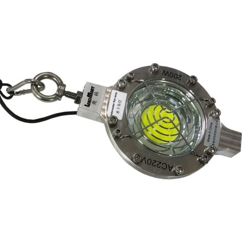 50W suport customize Cheap Price Bait Squid Fishing Luring Lamp Under Deep Water Light with CE certificate can combine