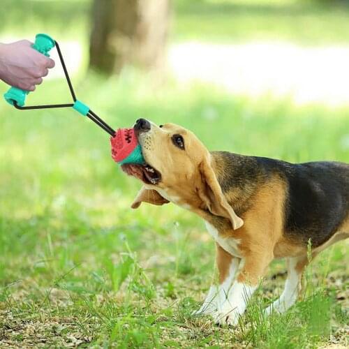 Teeth Rubber Bite Funny Puppy Training Ball Chew Toys Play Go Get Elastic Ropes Pet Training Toys Tooth Cleaning Iq Exercise