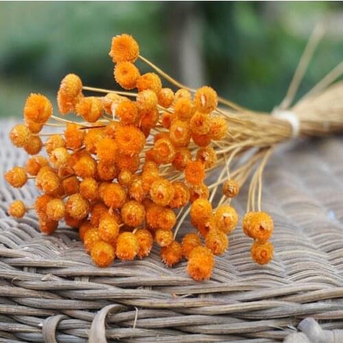 200PCS/0.4cm,Natural Dried mini happy Flowers,Display Flower DIY wedding Party Home Decoration accessories,christmas flower Gift