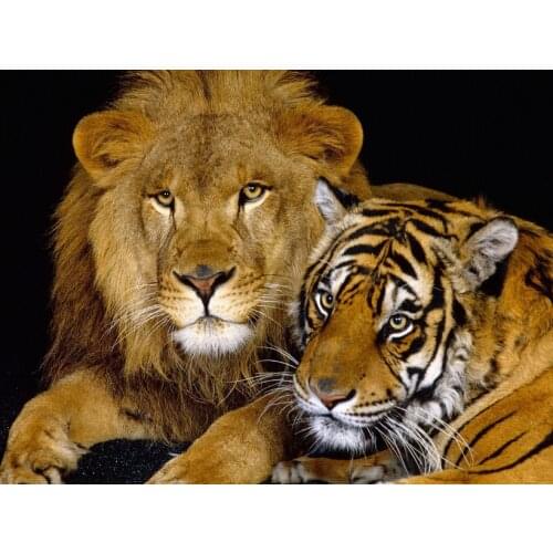 Tiger and lion Animal Cross Stitch Kits Needlework Sewing Embroidery Crafts 14ct Unprinted DIY Arts Handmade Home Decor