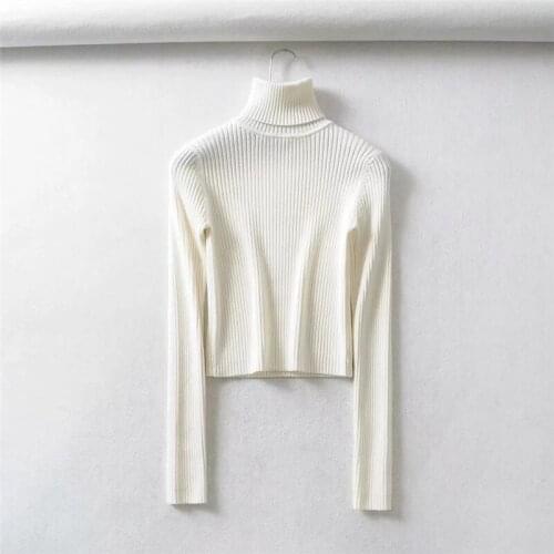 ASECEEDS Women's Pullovers