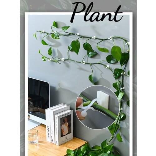Plant Climbing Wall Clip Invisible Wall Vines Fixture Wall Sticky Hook Holder Plant Cages Plant Supports Clip Vine Clip
