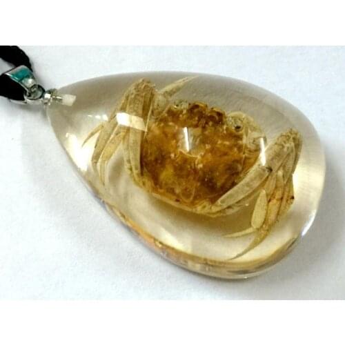 12 Pendant Natural Gold Crab Insect Taxidermy Resin Vogue Jewelry VERY PRETTY
