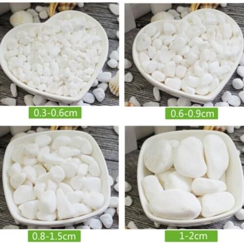500g White Garden Paving Pebbles For Aquarium Vase/Plants Growing Decorative Bonsai Pebbles/Gardening media
