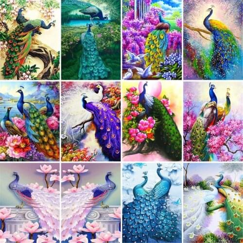 GATYZTORY Peacock Animal Picture By Numbers HandPainted Unique Gift 40x50cm Frame Home Living Room Decoration Arts