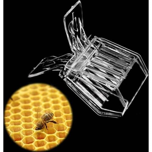 Plastic Beekeeping Bee Catcher Tool Queen Clips Bee Catcher Cage Beekeeper Equip Durable Beekeeper Tool Equip