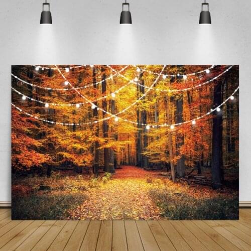 Laeacco Autumn Yellow Maple Forest Fallen Leaves Nature Scenic Backdrop Light Decor Child Photocall Poster Photograph Background
