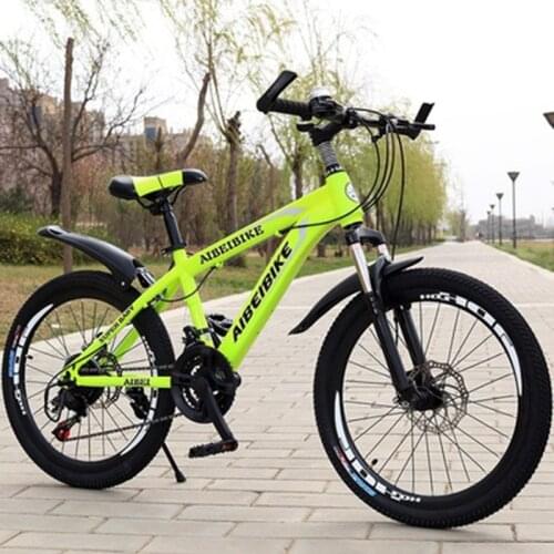 Student Adult Bicycle 24Speed Two Disc Brake Shock Absorber 22 Inch Mountain Bike